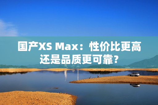 国产XS Max：性价比更高还是品质更可靠？