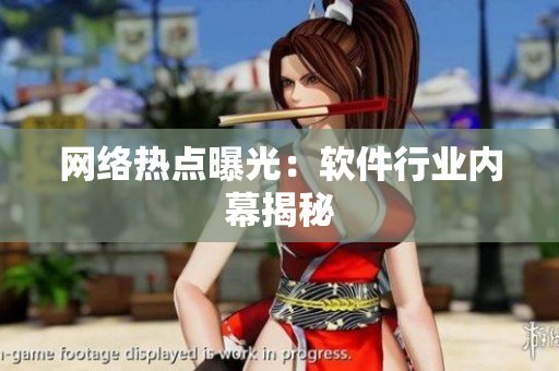 网络热点曝光：软件行业内幕揭秘