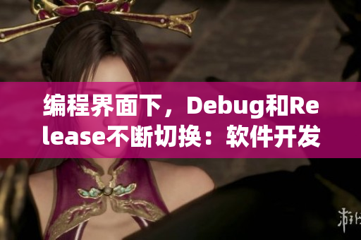 编程界面下，Debug和Release不断切换：软件开发恋曲