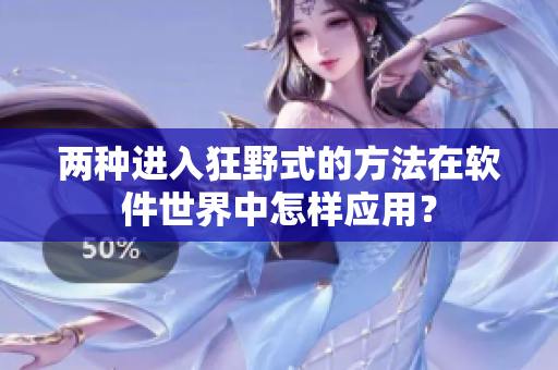 两种进入狂野式的方法在软件世界中怎样应用？