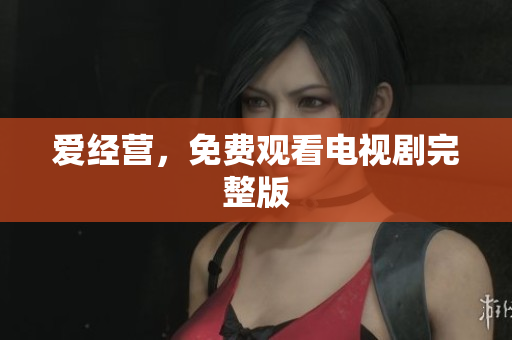 爱经营，免费观看电视剧完整版