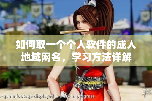 如何取一个个人软件的成人地域网名，学习方法详解