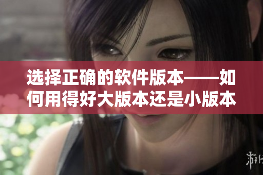 选择正确的软件版本——如何用得好大版本还是小版本？