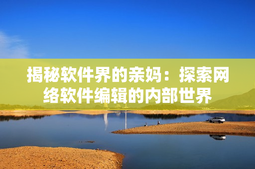 揭秘软件界的亲妈：探索网络软件编辑的内部世界