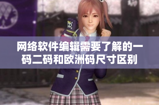 网络软件编辑需要了解的一码二码和欧洲码尺寸区别