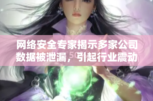 网络安全专家揭示多家公司数据被泄漏，引起行业震动
