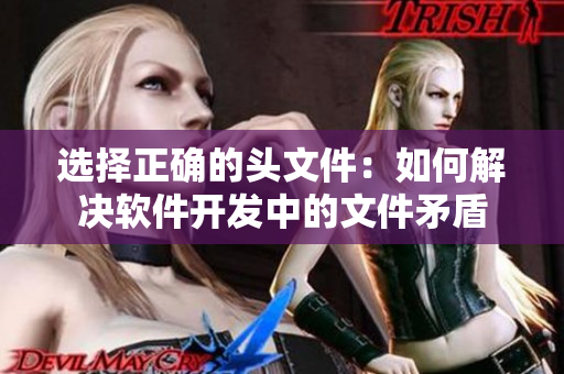 选择正确的头文件：如何解决软件开发中的文件矛盾