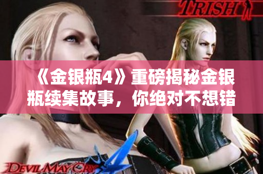 《金银瓶4》重磅揭秘金银瓶续集故事，你绝对不想错过的精彩内容！