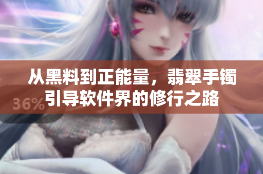 从黑料到正能量，翡翠手镯引导软件界的修行之路