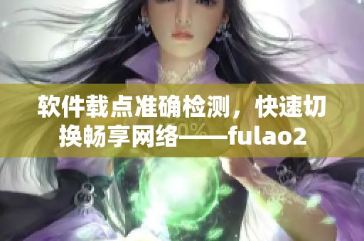 软件载点准确检测，快速切换畅享网络——fulao2