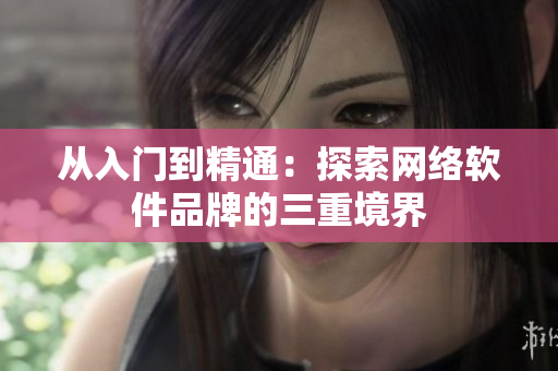 从入门到精通：探索网络软件品牌的三重境界