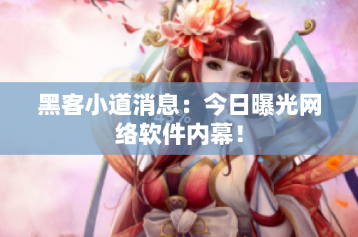 黑客小道消息：今日曝光网络软件内幕！