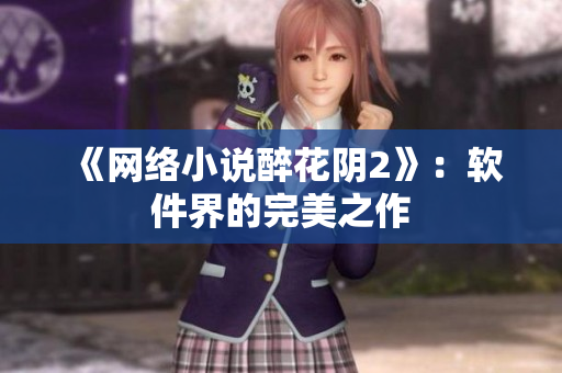 《网络小说醉花阴2》：软件界的完美之作