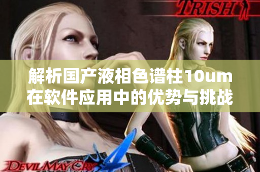 解析国产液相色谱柱10um在软件应用中的优势与挑战