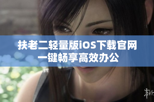 扶老二轻量版iOS下载官网 一键畅享高效办公
