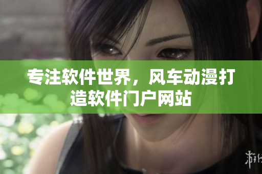 专注软件世界，风车动漫打造软件门户网站