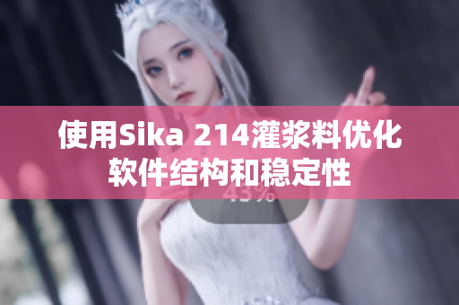 使用Sika 214灌浆料优化软件结构和稳定性