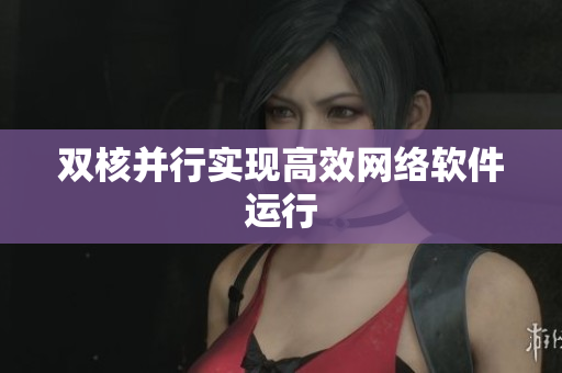 双核并行实现高效网络软件运行