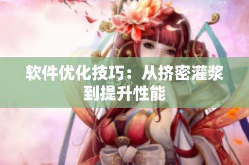 软件优化技巧：从挤密灌浆到提升性能