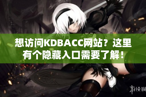 想访问KDBACC网站？这里有个隐藏入口需要了解！