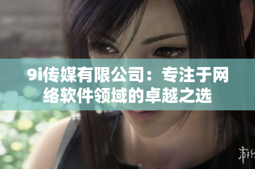 9i传媒有限公司：专注于网络软件领域的卓越之选