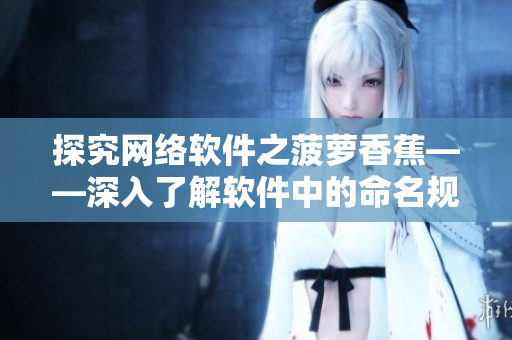 探究网络软件之菠萝香蕉——深入了解软件中的命名规范