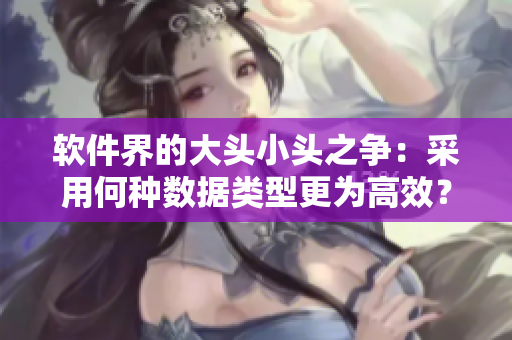 软件界的大头小头之争：采用何种数据类型更为高效？