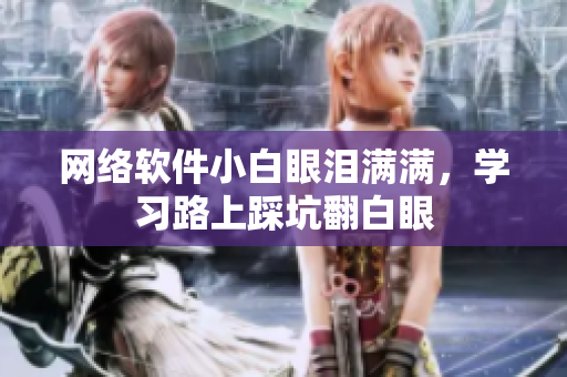 网络软件小白眼泪满满，学习路上踩坑翻白眼