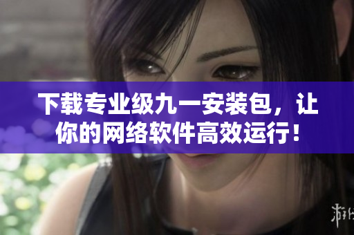 下载专业级九一安装包，让你的网络软件高效运行！