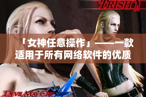 「女神任意操作」——一款适用于所有网络软件的优质开发工具