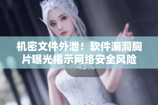 机密文件外泄！软件漏洞胸片曝光揭示网络安全风险