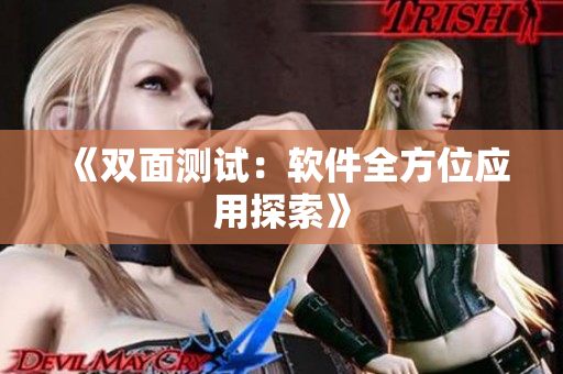 《双面测试：软件全方位应用探索》