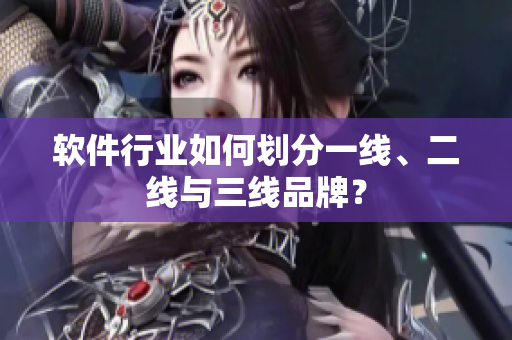 软件行业如何划分一线、二线与三线品牌？