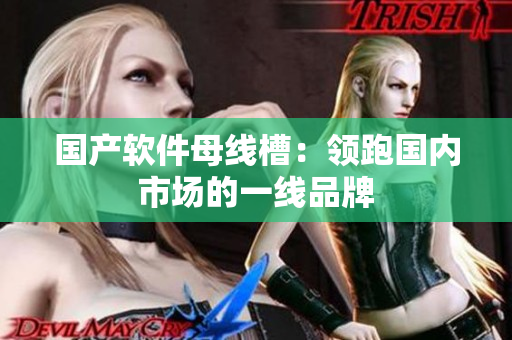 国产软件母线槽：领跑国内市场的一线品牌