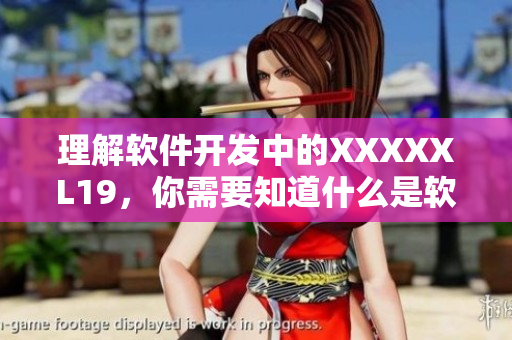 理解软件开发中的XXXXXL19，你需要知道什么是软件质量！