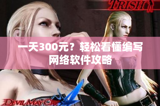 一天300元？轻松看懂编写网络软件攻略