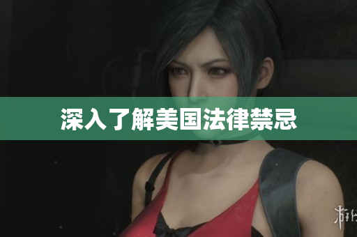 深入了解美国法律禁忌