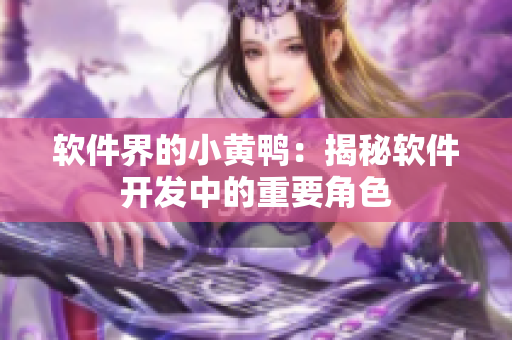 软件界的小黄鸭：揭秘软件开发中的重要角色