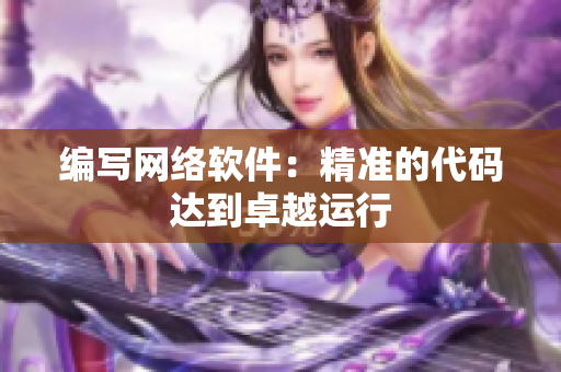 编写网络软件：精准的代码达到卓越运行