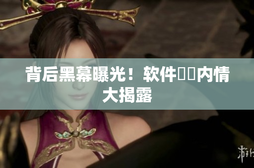 背后黑幕曝光！软件產業内情大揭露