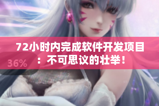 72小时内完成软件开发项目：不可思议的壮举！