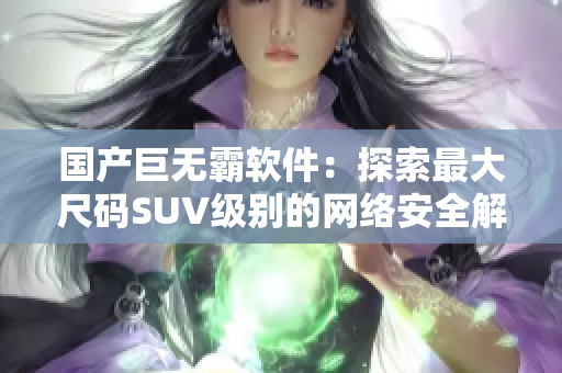 国产巨无霸软件：探索最大尺码SUV级别的网络安全解决方案