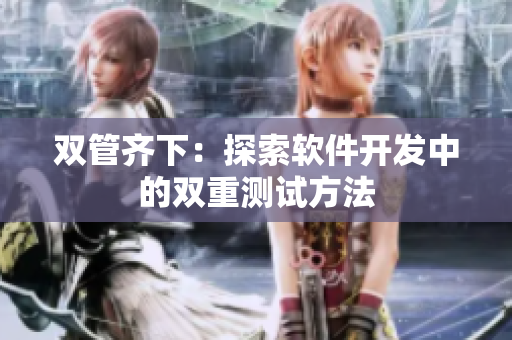 双管齐下：探索软件开发中的双重测试方法