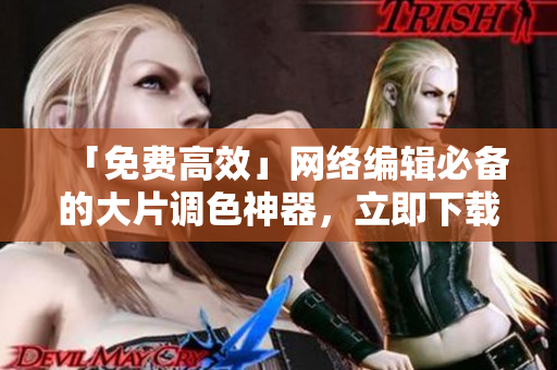 「免费高效」网络编辑必备的大片调色神器，立即下载！