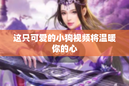 这只可爱的小狗视频将温暖你的心