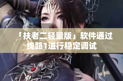 「扶老二轻量版」软件通过线路1进行稳定调试