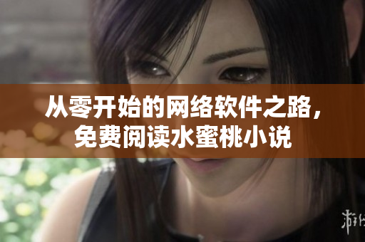 从零开始的网络软件之路，免费阅读水蜜桃小说