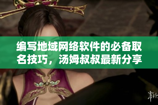 编写地域网络软件的必备取名技巧，汤姆叔叔最新分享