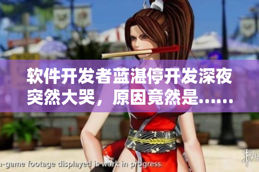 软件开发者蓝湛停开发深夜突然大哭，原因竟然是……
