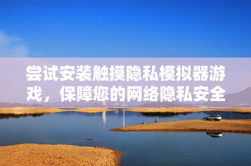 尝试安装触摸隐私模拟器游戏，保障您的网络隐私安全